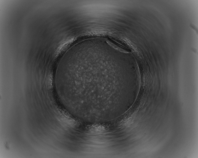 X0000095530640200712141503