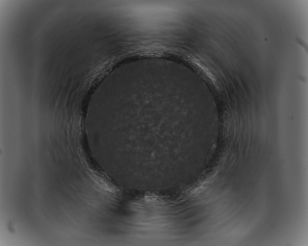 X0000095530641200712141503