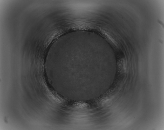 X0000095530642200712141503