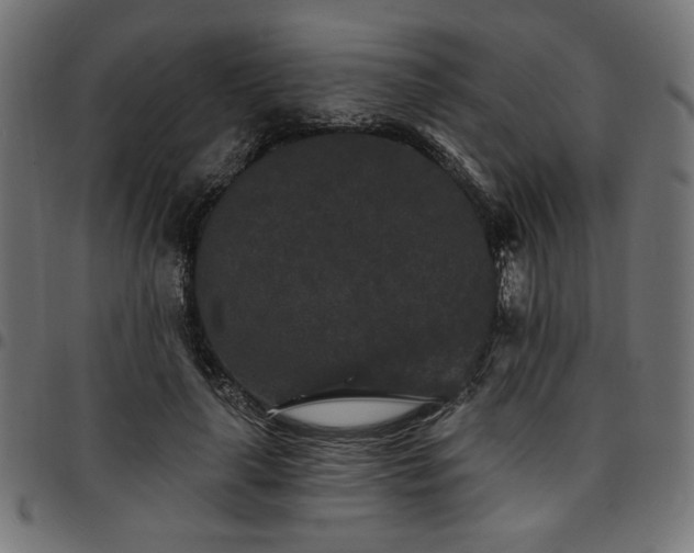 X0000095530643200712141503