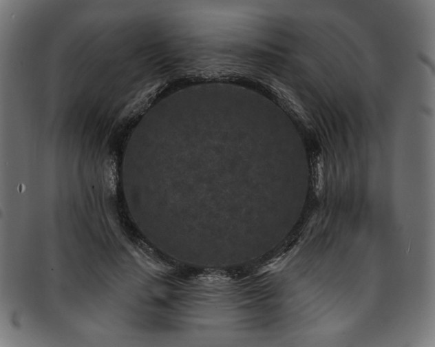 X0000095530644200712141503