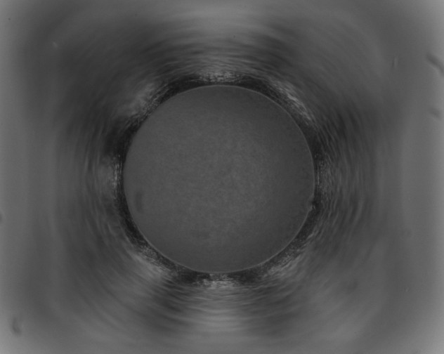 X0000095530645200712141503