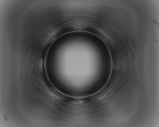 X0000095530646200712141503