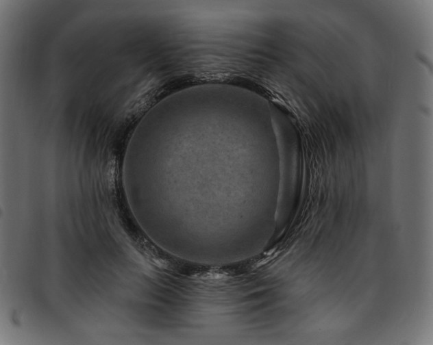 X0000095530647200712141503