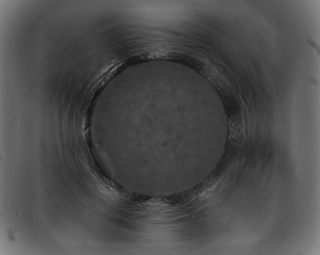 X0000095530648200712141503