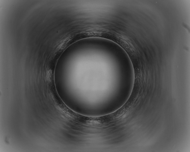 X0000095530649200712141503