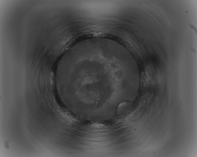 X0000095530650200712141503