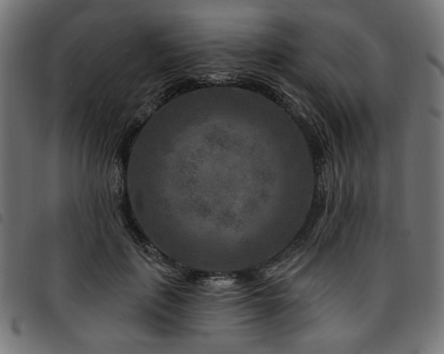 X0000095530651200712141503