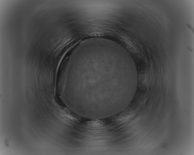 X0000095530652200712141503