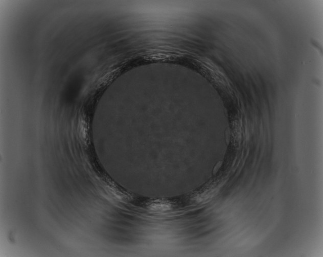 X0000095530653200712141503