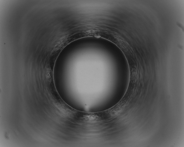 X0000095530654200712141503