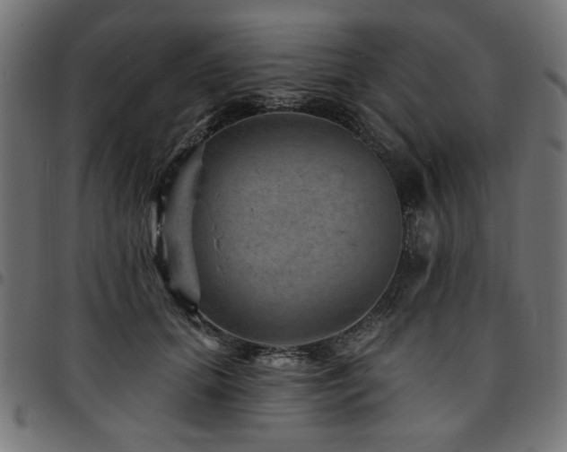 X0000095530655200712141503