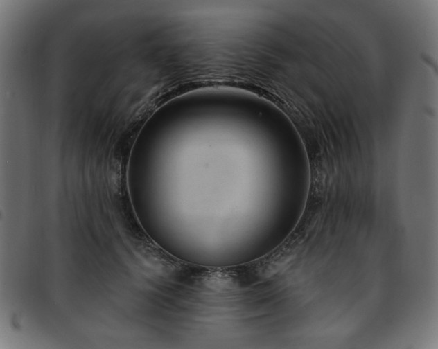 X0000095530656200712141503