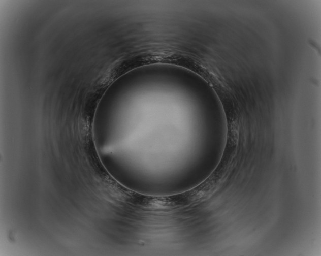 X0000095530657200712141503
