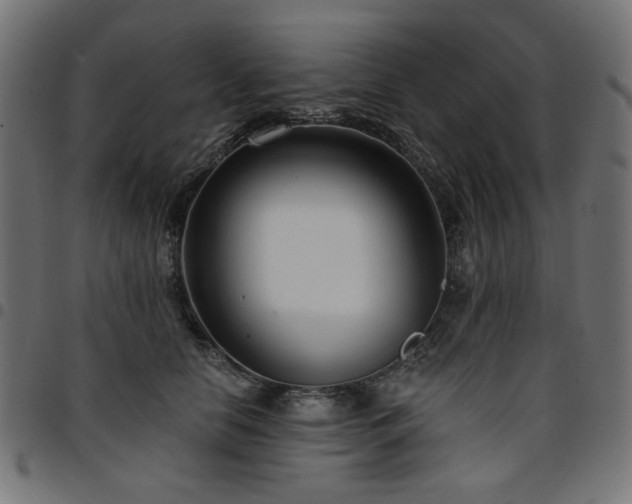 X0000095530658200712141503