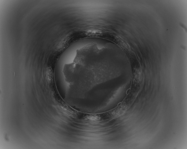 X0000095530659200712141503