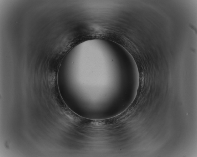 X0000095530660200712141503