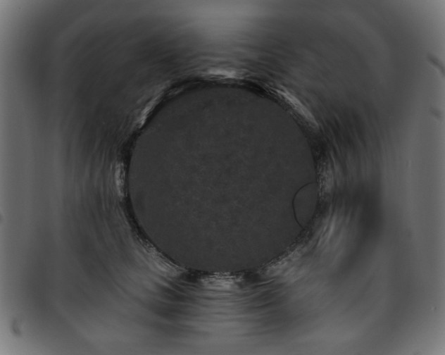 X0000095530661200712141503