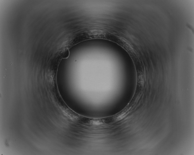 X0000095530662200712141503