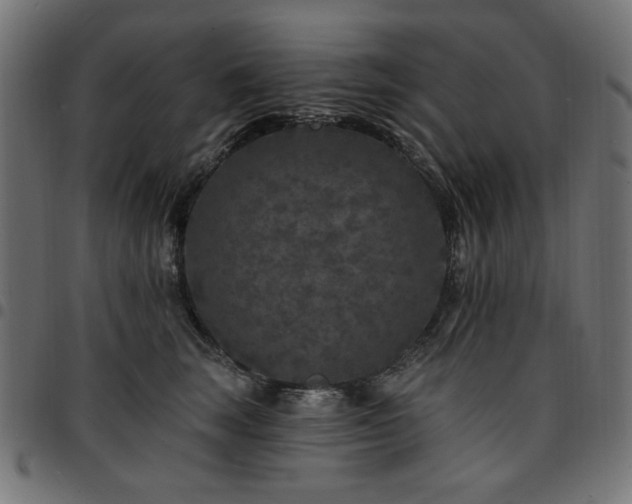 X0000095530663200712141503