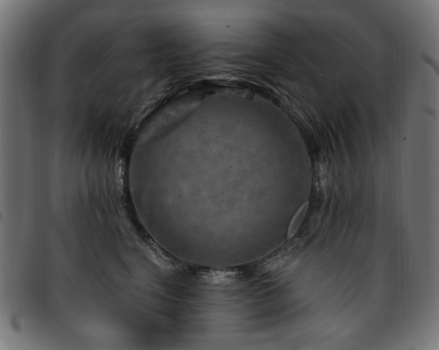 X0000095530664200712141503