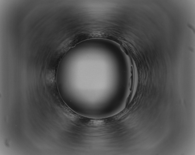 X0000095530665200712141503
