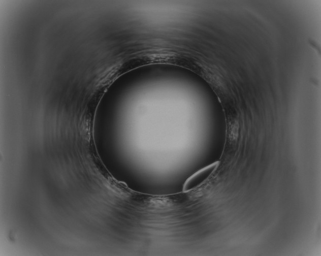 X0000095530666200712141503