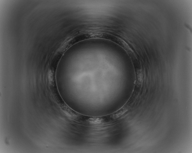 X0000095530667200712141503