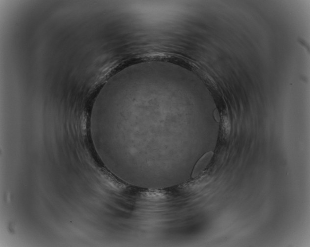 X0000095530668200712141503
