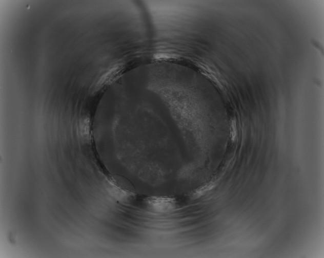 X0000095530670200712141503
