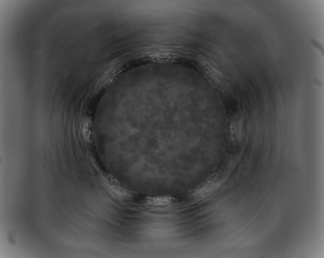 X0000095530671200712141503
