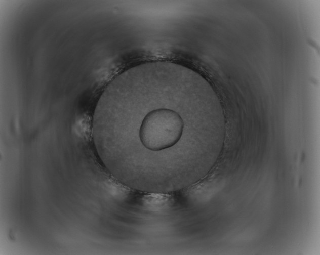 X0000095530672200712141503