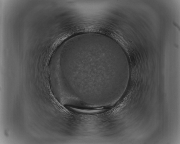 X0000095530673200712141503