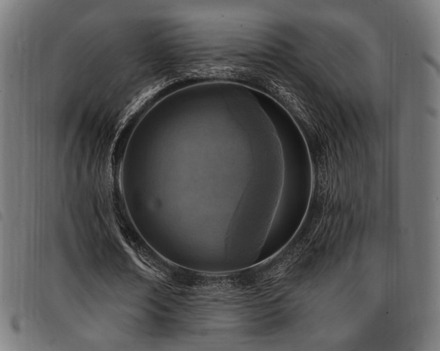 X0000095530674200712141503