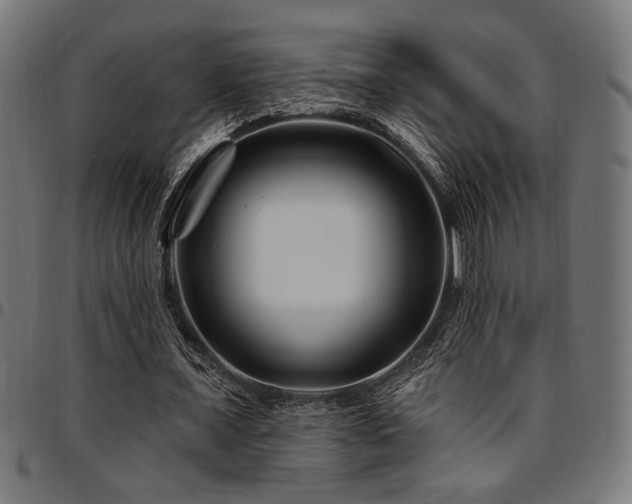 X0000095530675200712141503