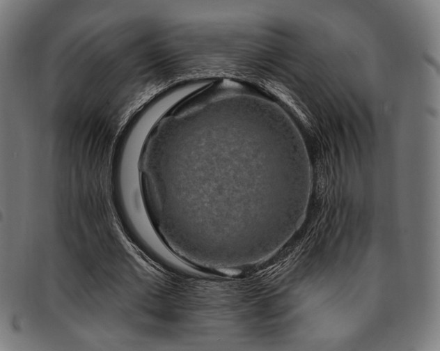 X0000095530677200712141503