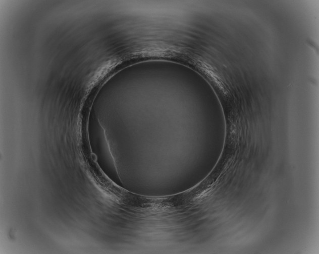 X0000095530678200712141503