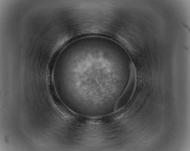 X0000095530680200712141502