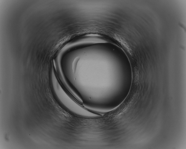 X0000095530681200712141502