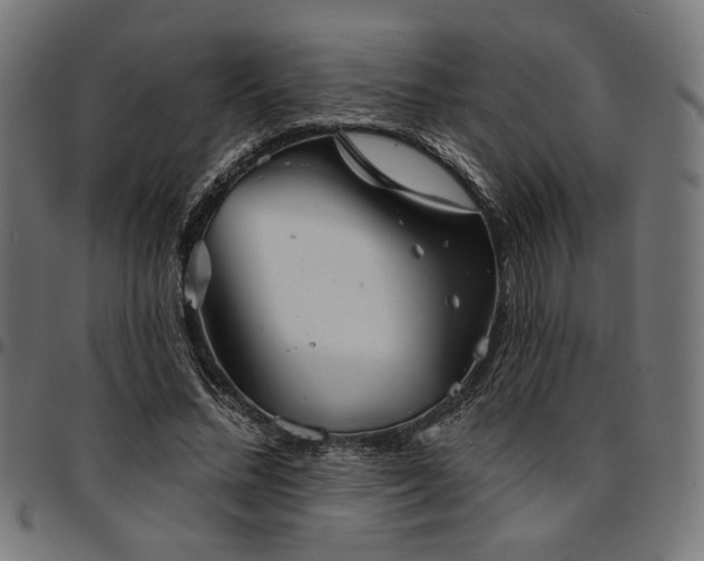 X0000095530684200712141502