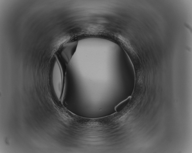 X0000095530685200712141502