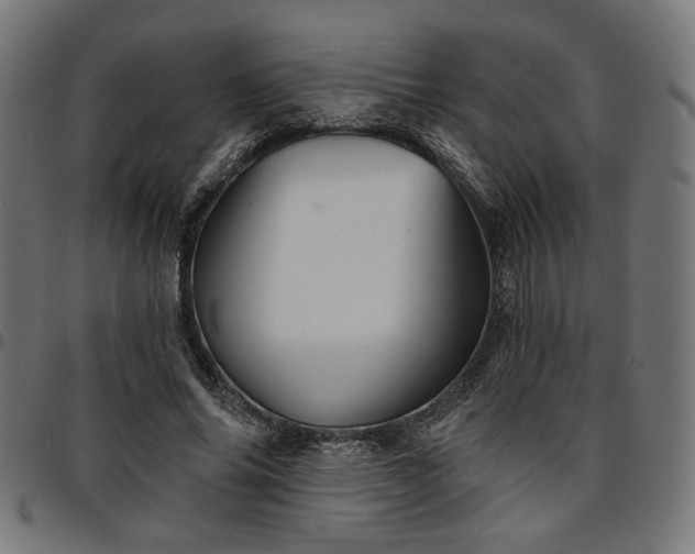 X0000095530686200712141502