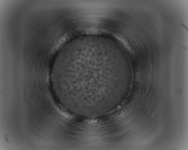 X0000095530687200712141502