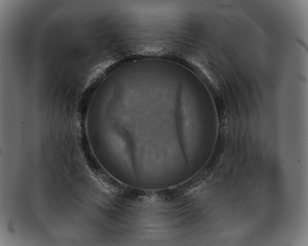 X0000095530688200712141502