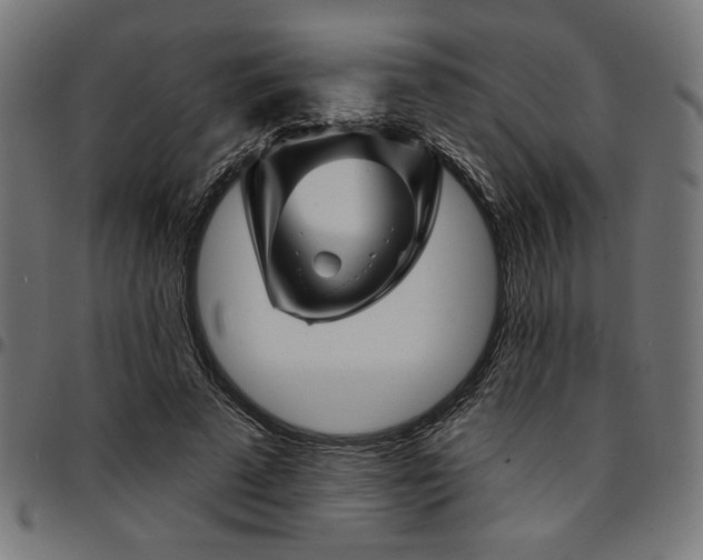 X0000095530689200712141502