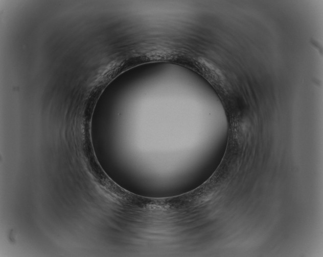 X0000095530690200712141502