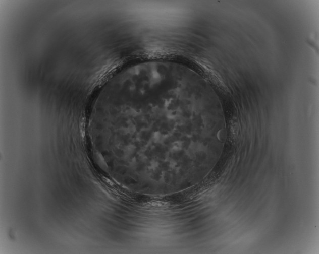 X0000095530691200712141502