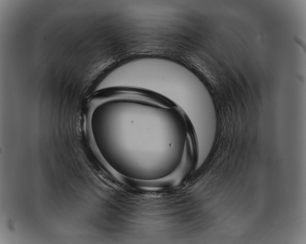 X0000095530692200712141502