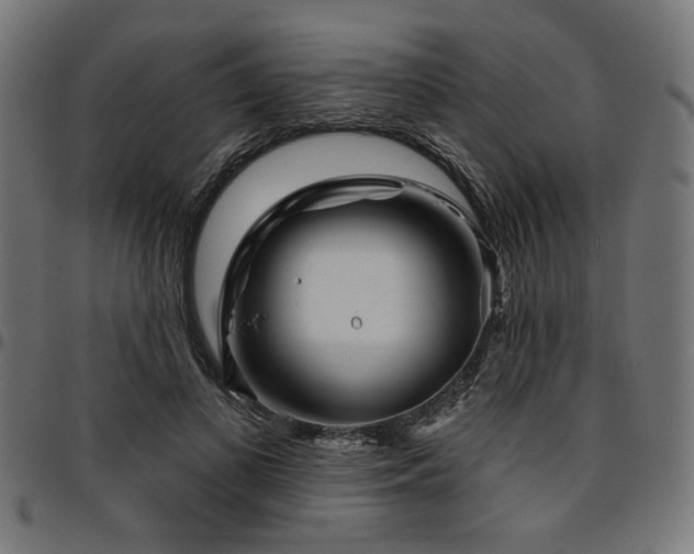 X0000095530693200712141502