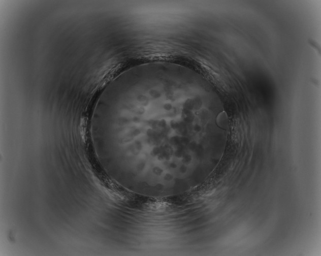 X0000095530695200712141502